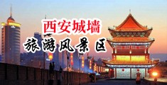 日本黄色网站鸡巴好长中国陕西-西安城墙旅游风景区